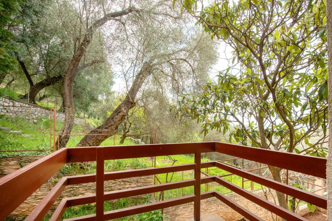 Villa Milana Budva Bagian luar foto